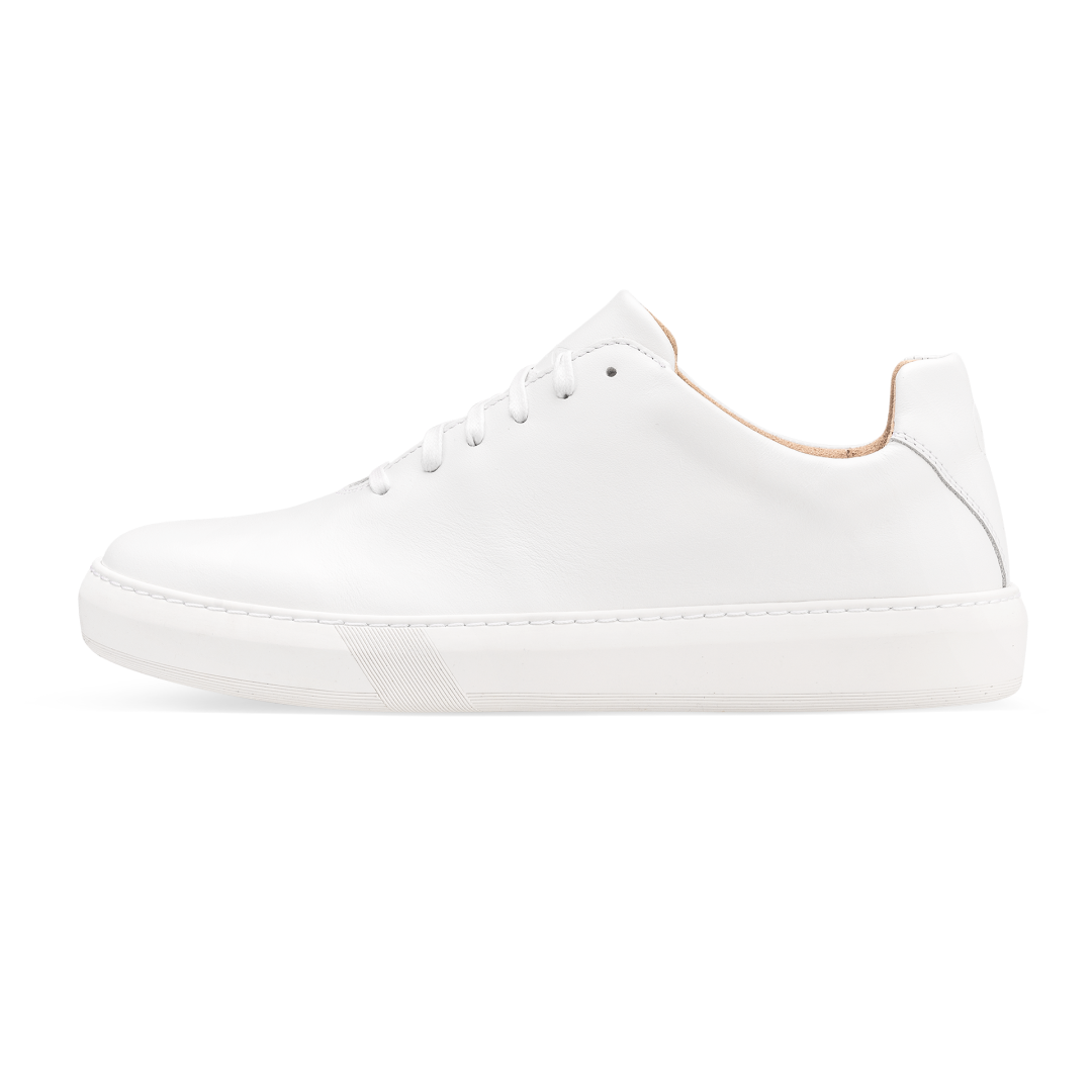 TENY WHITE